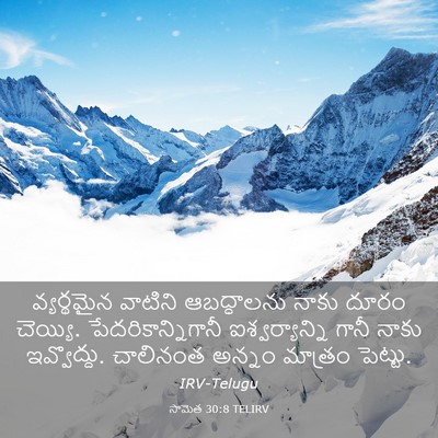 Picture 03 - సామెత 30:8 TELIRV - వ్యర్థమైన వాటిని - Bible Verse Picture