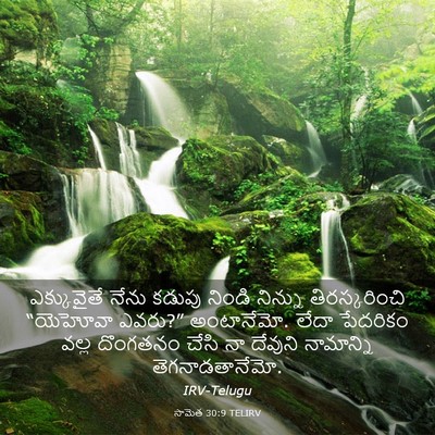 Picture 03 - సామెత 30:9 TELIRV - ఎక్కువైతే నేను - Bible Verse Picture