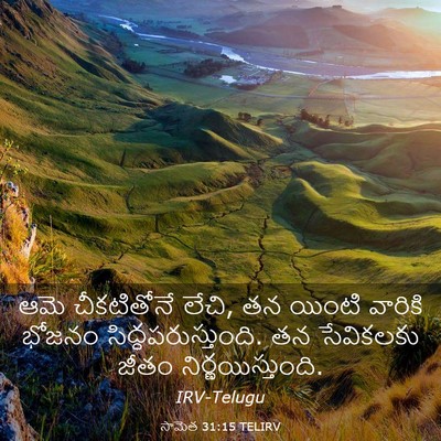 Picture 03 - సామెత 31:15 TELIRV - ఆమె చీకటితోనే - Bible Verse Picture