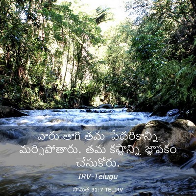 Picture 03 - సామెత 31:7 TELIRV - వారు తాగి తమ - Bible Verse Picture