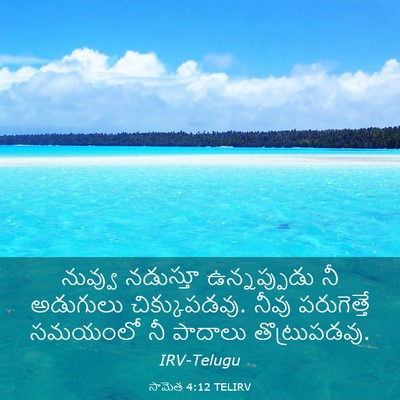 Picture 03 - సామెత 4:12 TELIRV - నువ్వు నడుస్తూ - Bible Verse Picture