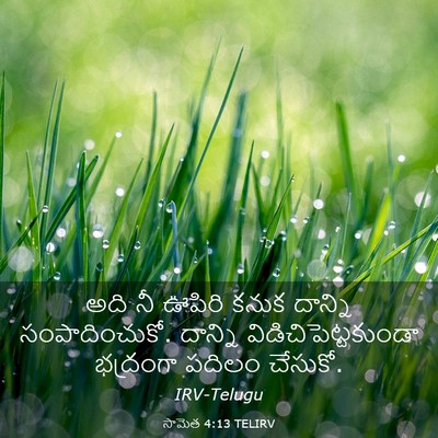 Picture 03 - సామెత 4:13 TELIRV - అది నీ ఊపిరి కనుక - Bible Verse Picture