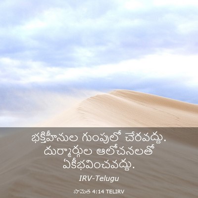 Picture 03 - సామెత 4:14 TELIRV - భక్తిహీనుల - Bible Verse Picture