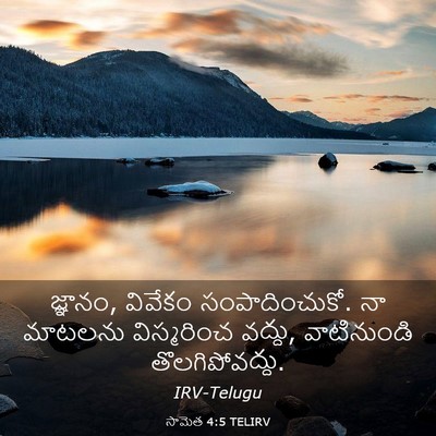 Picture 03 - సామెత 4:5 TELIRV - జ్ఞానం, వివేకం - Bible Verse Picture