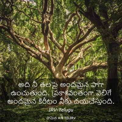 Picture 03 - సామెత 4:9 TELIRV - అది నీ తలపై అందమైన - Bible Verse Picture