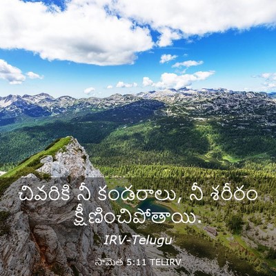 Picture 03 - సామెత 5:11 TELIRV - చివరికి నీ - Bible Verse Picture