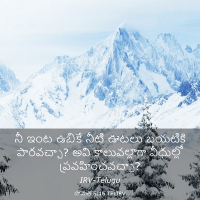 Picture 03 - సామెత 5:16 TELIRV - నీ ఇంట ఉబికే నీటి - Bible Verse Picture