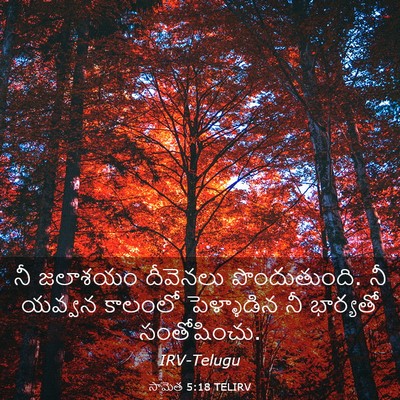 Picture 03 - సామెత 5:18 TELIRV - నీ జలాశయం దీవెనలు - Bible Verse Picture