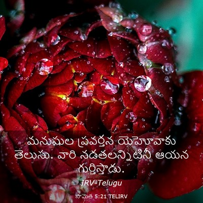 Picture 03 - సామెత 5:21 TELIRV - మనుషుల ప్రవర్తన - Bible Verse Picture