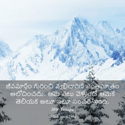 Picture 03 - సామెత 5:6 TELIRV - జీవమార్గం గురించి - Bible Verse Picture