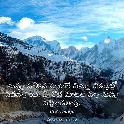 Picture 03 - సామెత 6:2 TELIRV - నువ్వు పలికిన - Bible Verse Picture