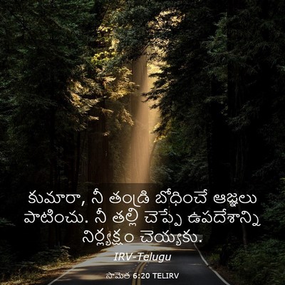Picture 03 - సామెత 6:20 TELIRV - కుమారా, నీ తండ్రి - Bible Verse Picture