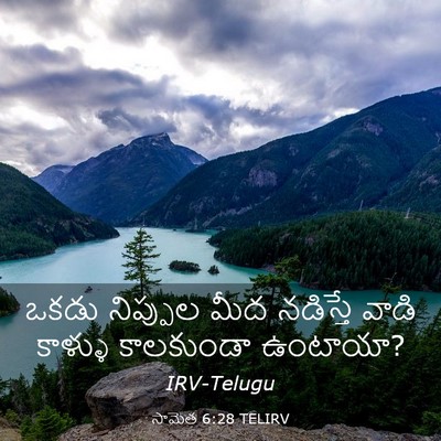Picture 03 - సామెత 6:28 TELIRV - ఒకడు నిప్పుల మీద - Bible Verse Picture