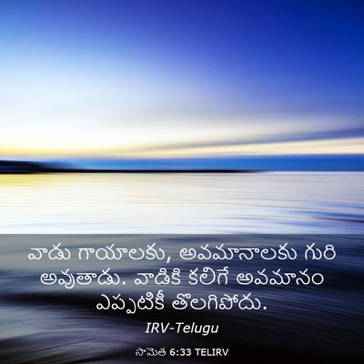 Picture 03 - సామెత 6:33 TELIRV - వాడు గాయాలకు, - Bible Verse Picture