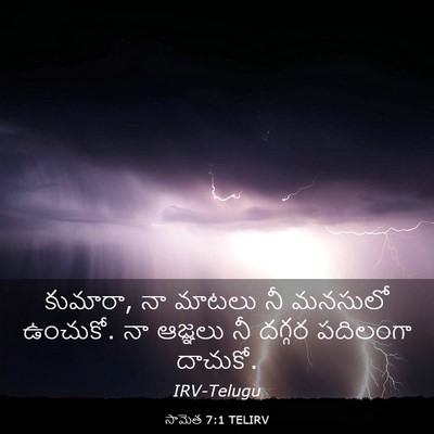 Picture 03 - సామెత 7:1 TELIRV - కుమారా, నా మాటలు నీ - Bible Verse Picture
