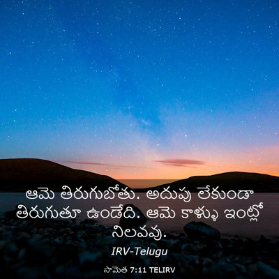 Picture 03 - సామెత 7:11 TELIRV - ఆమె తిరుగుబోతు. - Bible Verse Picture