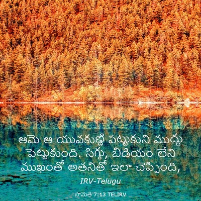 Picture 03 - సామెత 7:13 TELIRV - ఆమె ఆ యువకుణ్ణి - Bible Verse Picture