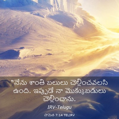 Picture 03 - సామెత 7:14 TELIRV - “నేను శాంతి బలులు - Bible Verse Picture