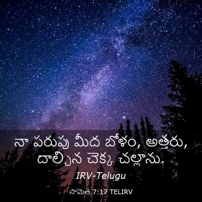 Picture 03 - సామెత 7:17 TELIRV - నా పరుపు మీద బోళం, - Bible Verse Picture