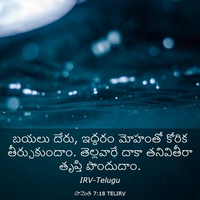 Picture 03 - సామెత 7:18 TELIRV - బయలు దేరు, ఇద్దరం - Bible Verse Picture