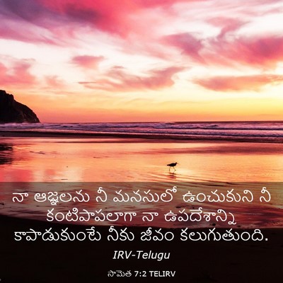Picture 03 - సామెత 7:2 TELIRV - నా ఆజ్ఞలను నీ - Bible Verse Picture