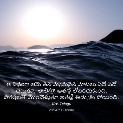 Picture 03 - సామెత 7:21 TELIRV - ఆ విధంగా ఆమె తన - Bible Verse Picture