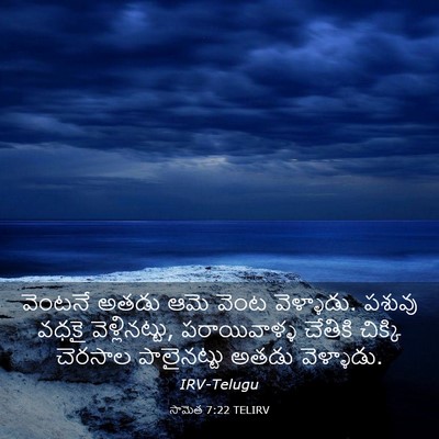 Picture 03 - సామెత 7:22 TELIRV - వెంటనే అతడు ఆమె - Bible Verse Picture