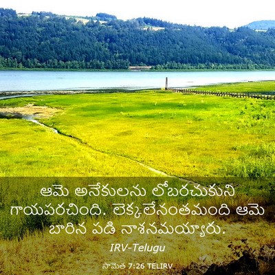 Picture 03 - సామెత 7:26 TELIRV - ఆమె అనేకులను - Bible Verse Picture