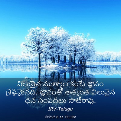 Picture 03 - సామెత 8:11 TELIRV - విలువైన ముత్యాల - Bible Verse Picture