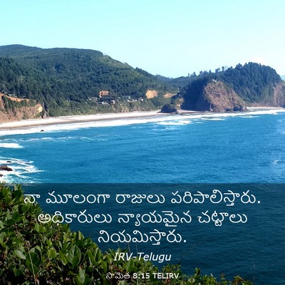 Picture 03 - సామెత 8:15 TELIRV - నా మూలంగా రాజులు - Bible Verse Picture