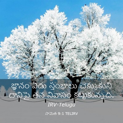 Picture 03 - సామెత 9:1 TELIRV - జ్ఞానం ఏడు - Bible Verse Picture