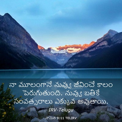 Picture 03 - సామెత 9:11 TELIRV - నా మూలంగానే - Bible Verse Picture