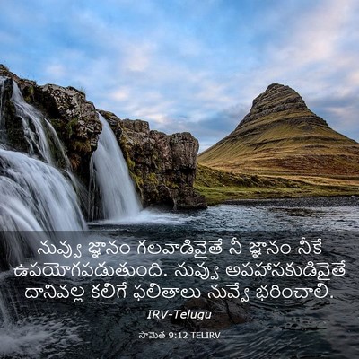 Picture 03 - సామెత 9:12 TELIRV - నువ్వు జ్ఞానం - Bible Verse Picture