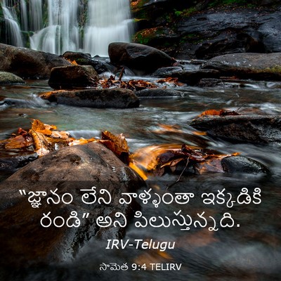 Picture 03 - సామెత 9:4 TELIRV - “జ్ఞానం లేని - Bible Verse Picture