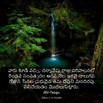 Picture 03 - హగ్గయి 1:15 TELIRV - వారు కూడి వచ్చి, - Bible Verse Picture