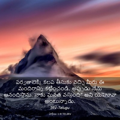 Picture 03 - హగ్గయి 1:8 TELIRV - పర్వతాలెక్కి కలప - Bible Verse Picture