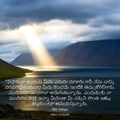 Picture 03 - హగ్గయి 1:9 TELIRV - “విస్తారంగా - Bible Verse Picture