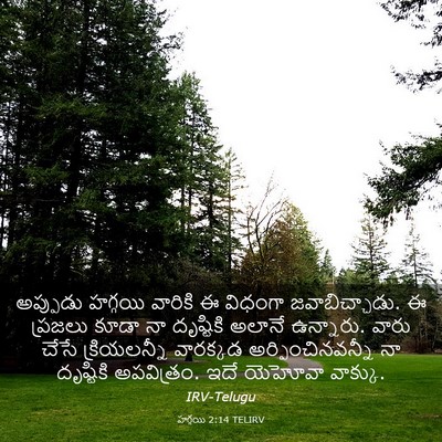 Picture 03 - హగ్గయి 2:14 TELIRV - అప్పుడు హగ్గయి - Bible Verse Picture