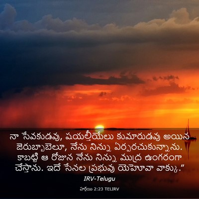 Picture 03 - హగ్గయి 2:23 TELIRV - నా సేవకుడవు, - Bible Verse Picture