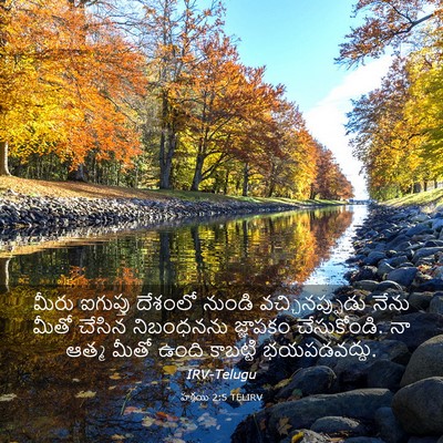 Picture 03 - హగ్గయి 2:5 TELIRV - మీరు ఐగుప్తు - Bible Verse Picture
