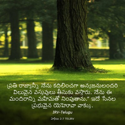 Picture 03 - హగ్గయి 2:7 TELIRV - ప్రతి రాజ్యాన్నీ - Bible Verse Picture