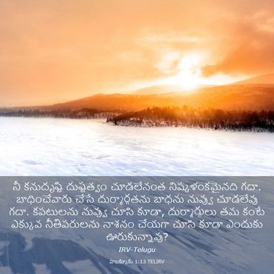 Picture 03 - హబక్కూకు 1:13 TELIRV - నీ కనుదృష్టి - Bible Verse Picture