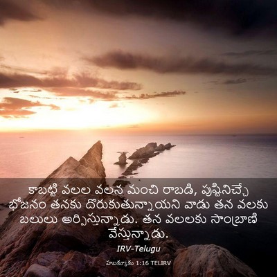 Picture 03 - హబక్కూకు 1:16 TELIRV - కాబట్టి వలల వలన - Bible Verse Picture