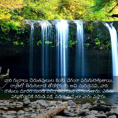 Picture 03 - హబక్కూకు 1:8 TELIRV - వారి గుర్రాలు - Bible Verse Picture