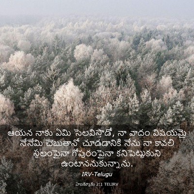Picture 03 - హబక్కూకు 2:1 TELIRV - ఆయన నాకు ఏమి - Bible Verse Picture