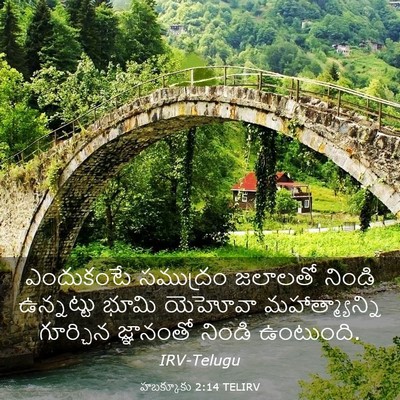 Picture 03 - హబక్కూకు 2:14 TELIRV - ఎందుకంటే సముద్రం - Bible Verse Picture