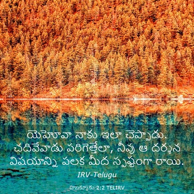 Picture 03 - హబక్కూకు 2:2 TELIRV - యెహోవా నాకు ఇలా - Bible Verse Picture