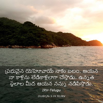 Picture 03 - హబక్కూకు 3:19 TELIRV - ప్రభువైన యెహోవాయే - Bible Verse Picture