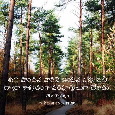 Picture 03 - హెబ్రీ పత్రిక 10:14 TELIRV - శుద్ధి పొందిన - Bible Verse Picture