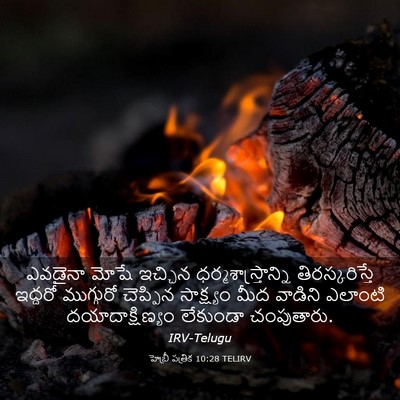 Picture 03 - హెబ్రీ పత్రిక 10:28 TELIRV - ఎవడైనా మోషే - Bible Verse Picture